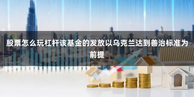 股票怎么玩杠杆该基金的发放以乌克兰达到善治标准为前提