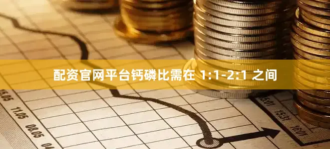 配资官网平台钙磷比需在 1:1-2:1 之间