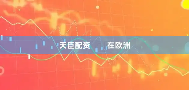 天臣配资        在欧洲